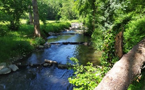 Bois de Blaimont