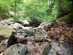 Bois de Haus Ternell