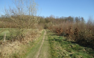 Bois de la Flache