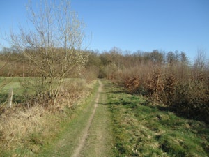 Bois de la Flache
