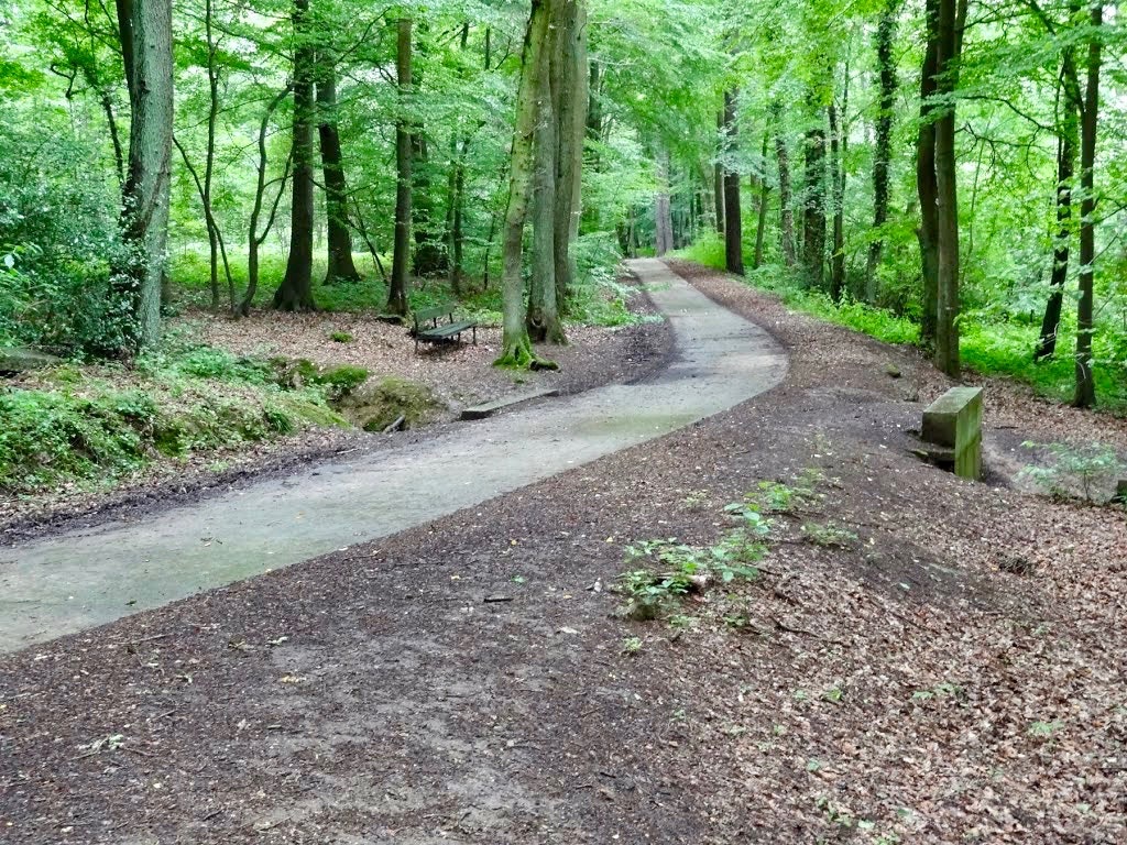 Bois de la Marchandise