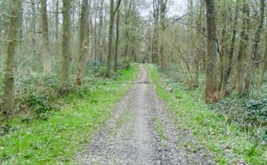 Bois du Baron