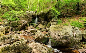Cascade des Nutons