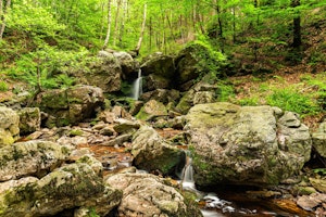 Cascade des Nutons