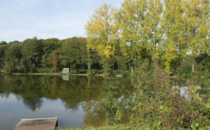 Château de Thieusies