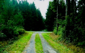 Bois de Grandhan