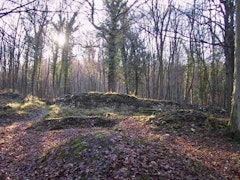 Bois du Prince