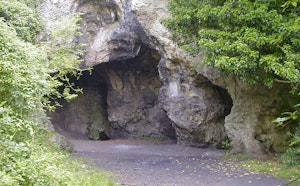 Bois de Bètche