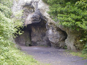 Bois de Bètche