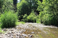 Moulin de Bourseigne