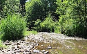 Moulin de Bourseigne