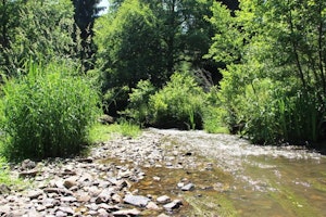 Moulin de Bourseigne