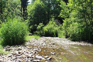 Moulin de Bourseigne