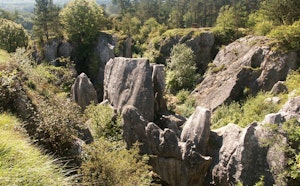 Roche aux Faucons and Fondry des Chiens