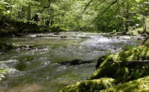 Roche des Voleurs