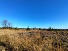 Setay et Herbôfaye depuis la Baraque Michel