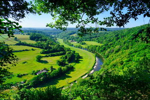 La Roche-aux-Faucons