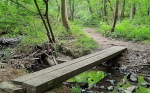 Balade des petits ponts