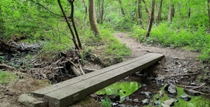 Balade des petits ponts