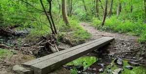 Balade des petits ponts