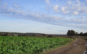 Tour des Quatre Chênes