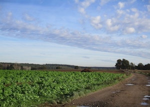 Tour des Quatre Chênes