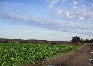 Tour des Quatre Chênes