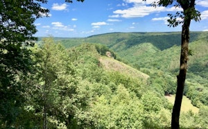 Vallon du Ninglinspo