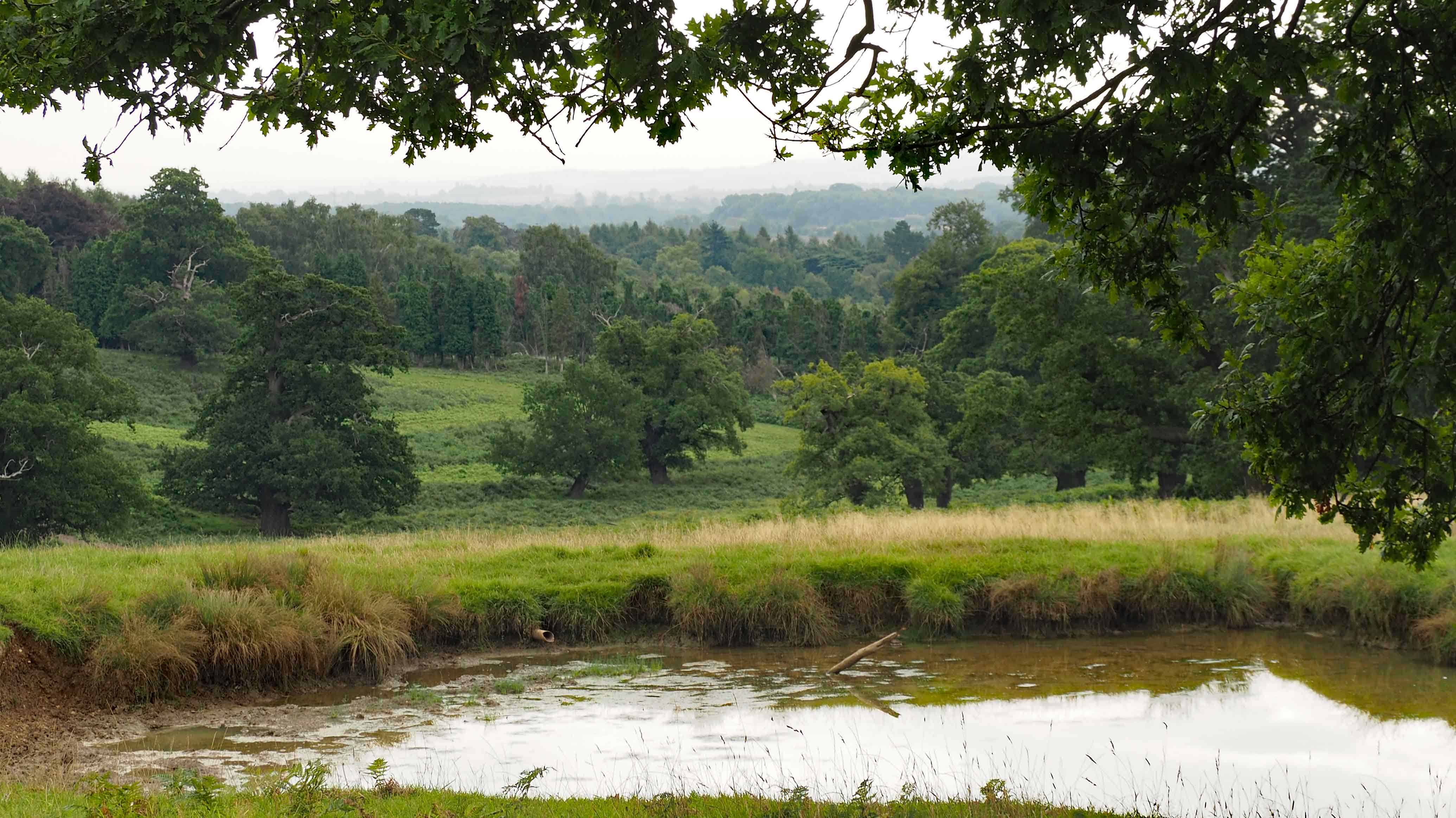 Woburn