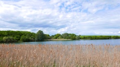 Grafham Water