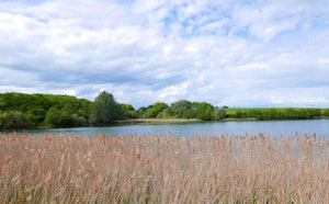 Grafham Water