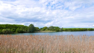 Grafham Water