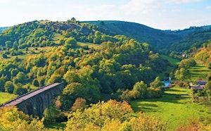 Ashford, Monsal Dale, and Shacklow Wood