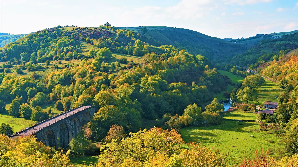 Ashford, Monsal Dale, and Shacklow Wood