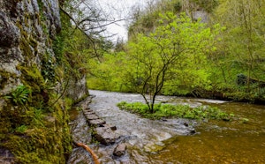 Chee Dale Gorge