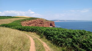Otterton Coastal and River Loop