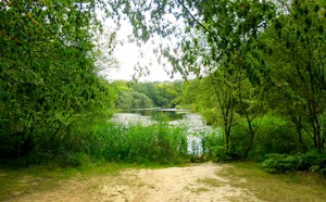 Earl's Path to Wake Valley Pond