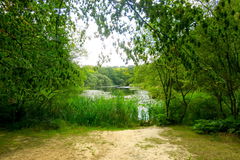 Earl's Path to Wake Valley Pond