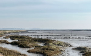 North Fambridge to Burnham-on-Crouch Walk