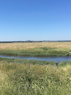 Tollesbury Wick Marshes 