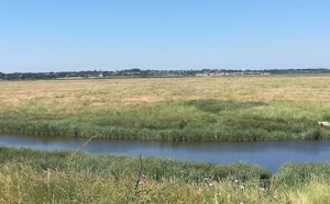 Tollesbury Wick Marshes