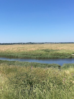 Tollesbury Wick Marshes