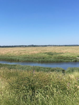 Tollesbury Wick Marshes 