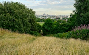 Hampstead Heath