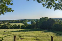 Richmond Park
