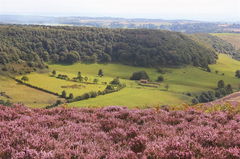 Hole of Horcum