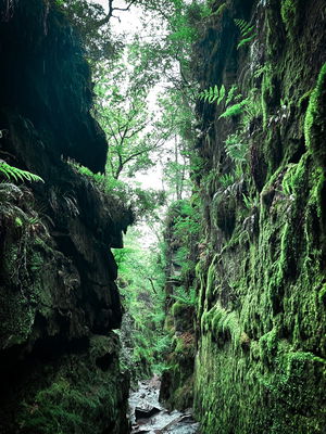 Gradbach and Lud's Church 