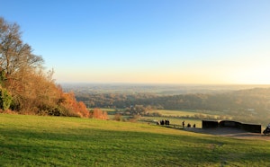 Box Hill Hike