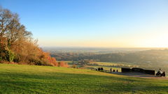 Box Hill Hike 