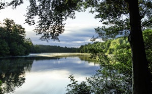 Virginia Water